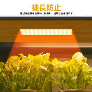 A琬Cg LED tXyNg ^C}[@\t pl Op ϗtA A A琬Cg LED 琬Cg ACg