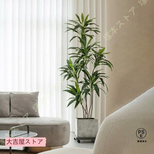 tFCNO[ lHϗtA CeA ^ y oii̗t ͂Ȃ A X GgX c ItBX P  ze [