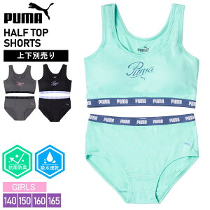 PUMA v[} X|[cu pc K[Y fB[X ʔ z hC RۖhL  JbvO\ uW[ n[tgbv V[c  X|[c uh S Ci[ 