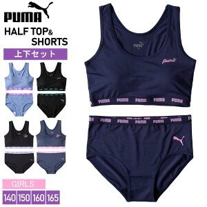 PUMA v[} WjA n[tgbv V[c ㉺Zbg JbvO  X|[cuh Ci[ A_[EFA uW[ X|u pc Zbg K[Y ̎q w w