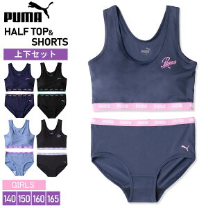 PUMA v[} WjA n[tgbv V[c ㉺Zbg JbvO  X|[cuh Ci[ A_[EFA uW[ X|u pc Zbg K[Y ̎q w w