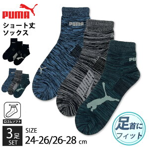 PUMA v[} V[g\bNX Y C 3Zbg 24-26cm 26-28cm 傫TCY S X|[c Yɂ tBbg uh S V[g ʊw ʋ rWlX Xj[J[