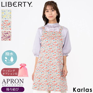 LIBERTY oeB Gv fB[X 댋 H ͂ ۈm s[X t[  {^jJ vg ̓ Mtg v[g  Rbg JtF Lb` ԕ  