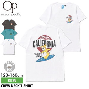 y݌ɏ!z TVc LbY WjA  q j̎q ̎q Ocean Pacific I[VpVtBbN T[tuh t S obNvg N[lbN IV 100% C 120 130 140 150