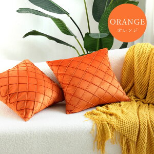 y900~OFFCP-3buyz_^yyV1ʁz NbVJo[ 45×45cm IV 킢 ͗lւ V NbV Jo[ 􂦂 xA  k i` l炵 rO \t@ x