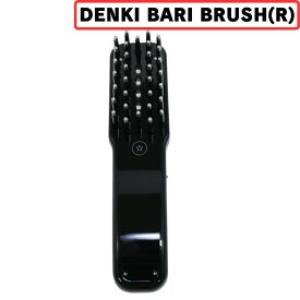 [中古] デンキバリブラシ ELECTRON DENKI BARI BRUSH(R) [良い(B)]