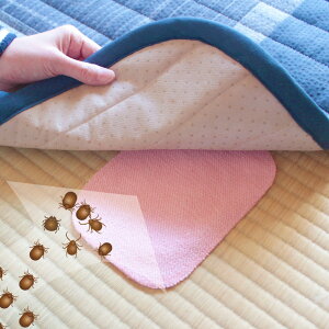 uȒP_jV[g 10g _jV[g _jV[g _jߊlV[g u ȒP sgp _j΍ AM[΍ Ags[ 񑧑΍ _jߊl U