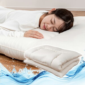 �􂦂�~�z�c �~���z�c �V���O�� �􂦂� 3�w�\�� ���{�� �h�_�j �R�� �h�L �s�[�`�X�L�� �y�� 9cm�� �R�C�������h���[