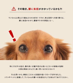 楽天市場 小型犬用スロープ 犬 階段 ステップ ドッグステップ ドッグスロープ ペットステップ ペットスロープ 段差 パテラ 予防 犬 用ステップ アウトレットファニチャー
