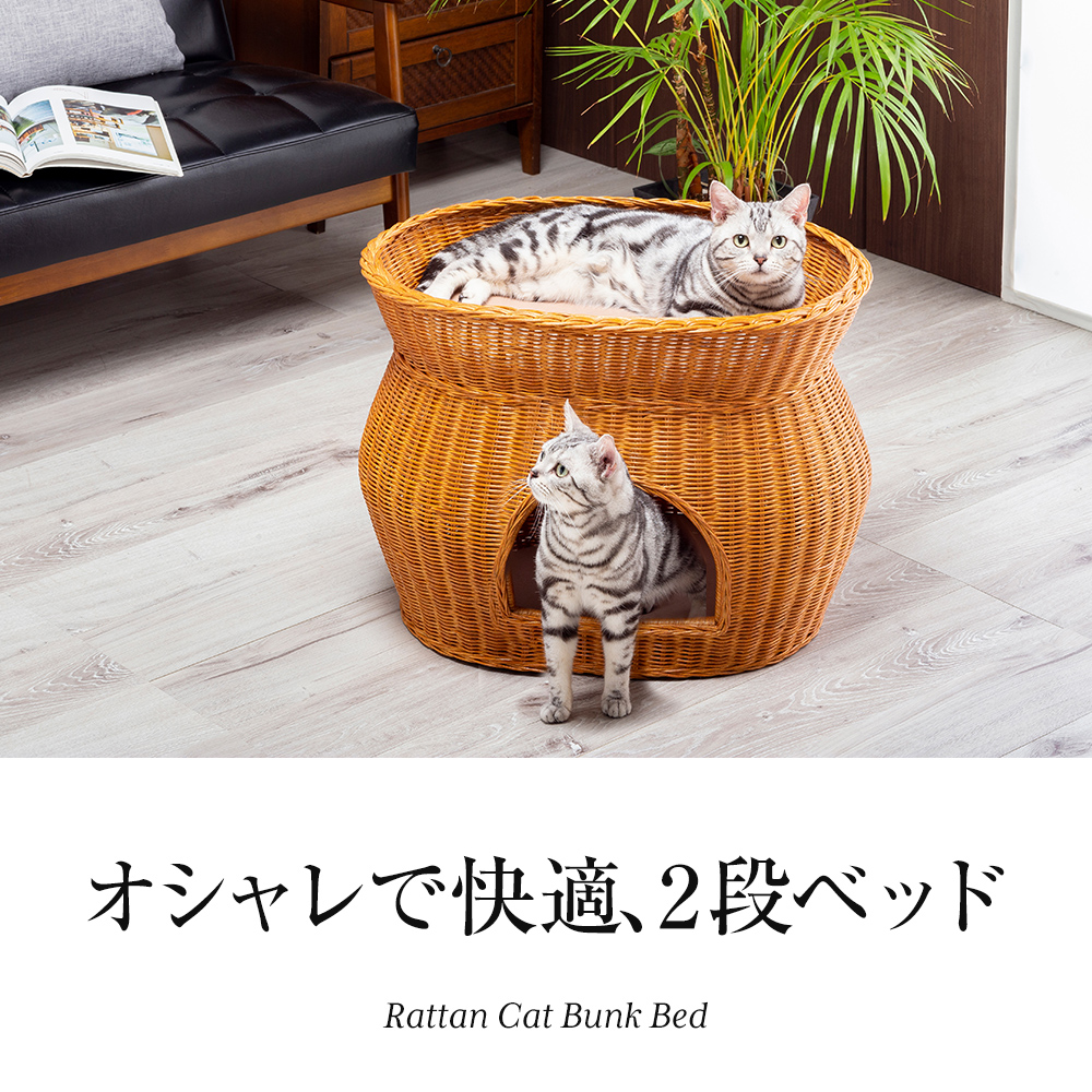 猫 ベッド ラタン 2段ベッド ちぐら ドーム キャットハウス 猫ベッド ペット用ベッド 小型犬ベッド ウレタンクッション付き |  アウトレットファニチャー