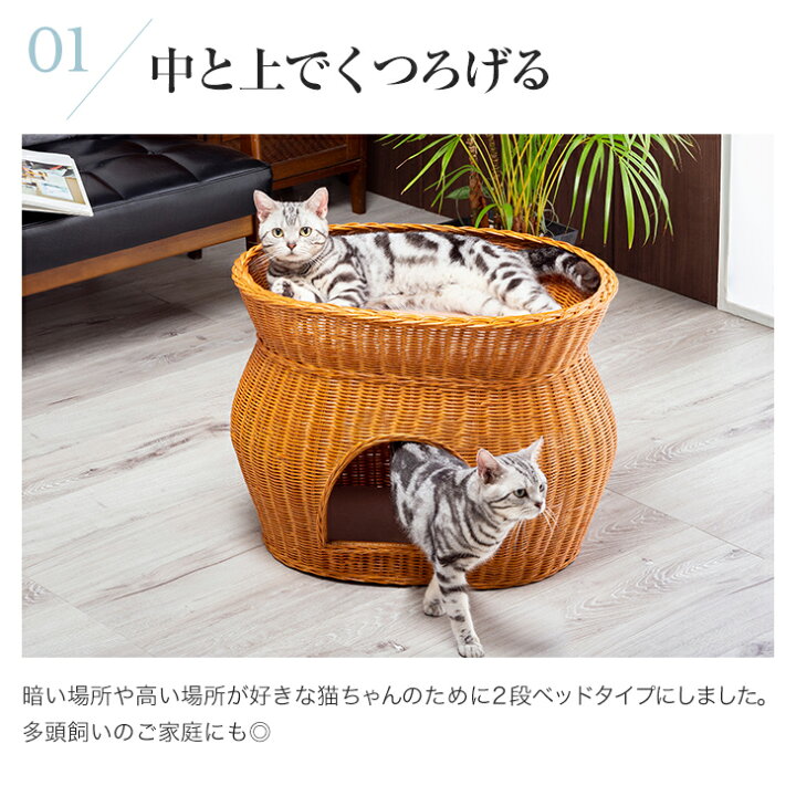 楽天市場 猫 ベッド ラタン 2段ベッド ちぐら ドーム キャットハウス 猫ベッド ペット用ベッド 小型犬ベッド ウレタンクッション付き アウトレットファニチャー