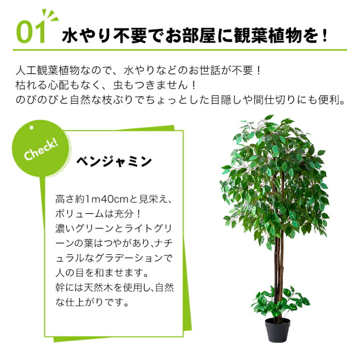 楽天市場 光触媒 人工観葉植物 フェイクグリーン 大型 インテリアグリーン ベンジャミン 幸福の木 ドラセナ 2本セット アウトレットファニチャー