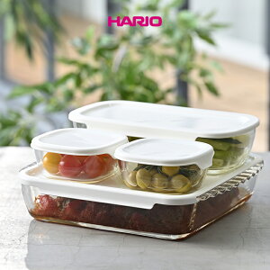 HARIO nI ϔMKX Rei 4Zbg p^ KXRei t^t X^bLO ϔMe u  e  KXe ۑe dqWEI[uΉ H@Ή 