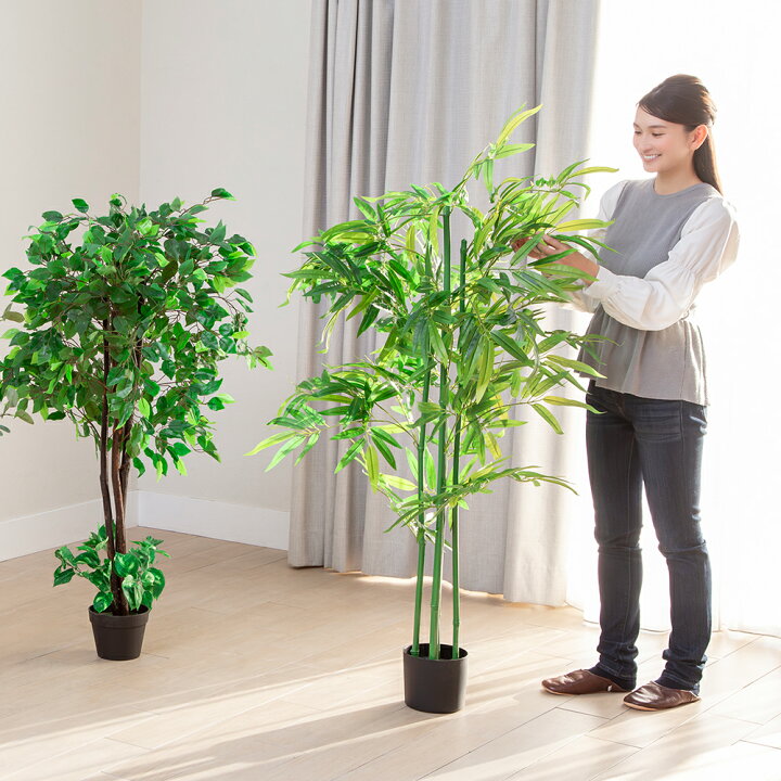 楽天市場】光触媒 人工観葉植物 ベンジャミン フェイクグリーン 大型 