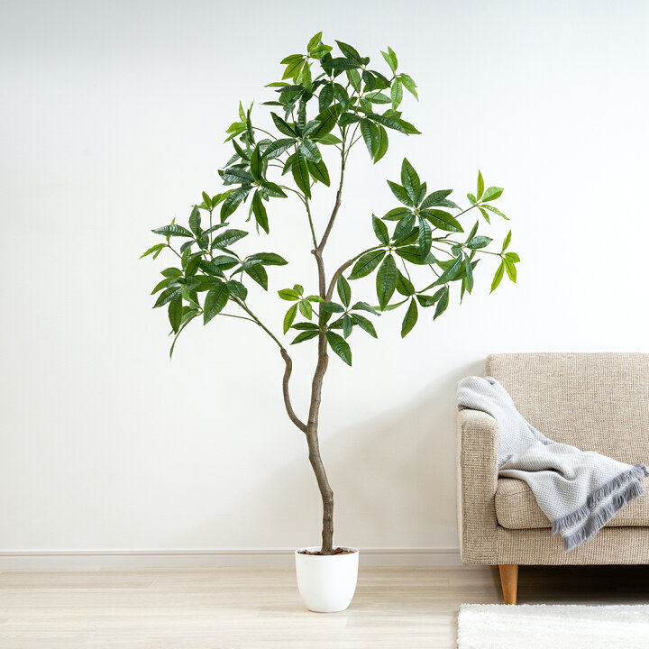 楽天市場】フェイクグリーン 大型 パキラ 150cm 光触媒 人工観葉植物 