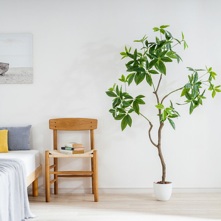 楽天市場】フェイクグリーン 大型 パキラ 150cm 光触媒 人工観葉植物 
