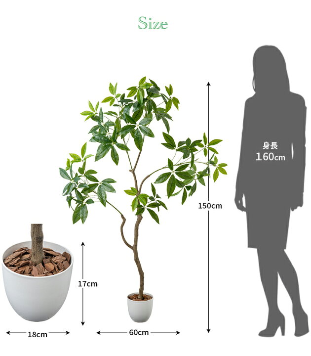 楽天市場】フェイクグリーン 大型 パキラ 150cm 光触媒 人工観葉植物 