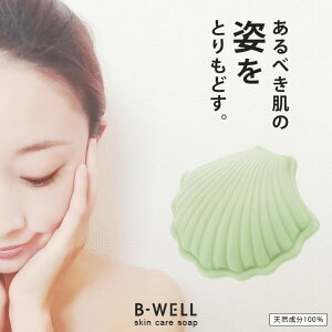 Ό r[EF B-WELL XLPA\[v SK00100 1909  ɂї\h ΂  Ags[  jLr ɂ  XLPA ApbN