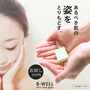 Ό r[EF B-WELL XLPA\[v TCY SK00500 1909  XLPA \[v  点 ɂ  ]  ΂ }XN Ags[