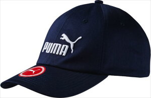 PUMA (v[}) GbZV Lbv 18 52919 1806 X|[c ANZT[