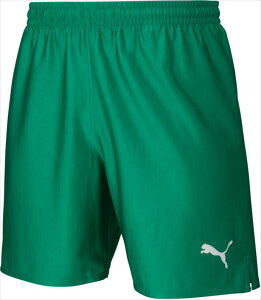 Q[pc PUMA (v[}) Y LIGA Q[pc RA (05) 729969 1907 TbJ[ EFA