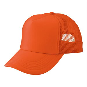 ACgX AITOZ AJbVLbviMC31^3100j66315 063.tbVIW ƕ ƒ jtH[