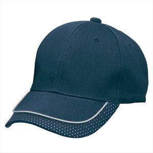 ACgX AITOZ tN^[Lbv 66301 008.lCr[ ƕ ƒ jtH[