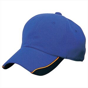 ACgX AITOZ CLbv 66302 006.u[ ƕ ƒ jtH[