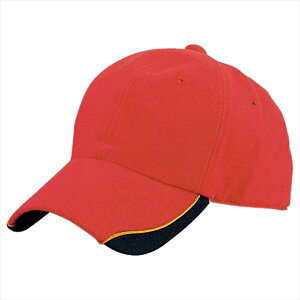 ACgX AITOZ CLbv 66302 009.bh ƕ ƒ jtH[