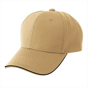 ACgX AITOZ tCbVLbv 66309 002.x[W ƕ ƒ jtH[