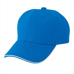 ACgX AITOZ tCbVLbv 66309 006.u[ ƕ ƒ jtH[