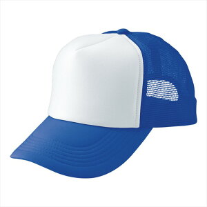 ACgX AITOZ AJbVLbviMC30^3100j66313 006.u[×zCg ƕ ƒ jtH[