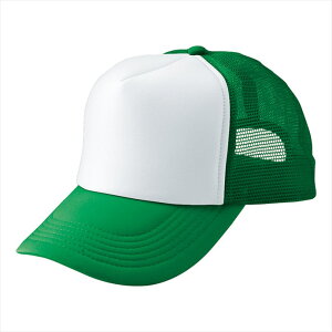 ACgX AITOZ AJbVLbviMC30^3100j66313 030.O[×zCg ƕ ƒ jtH[