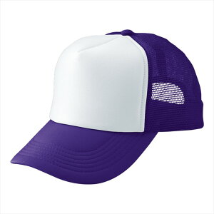 ACgX AITOZ AJbVLbviMC30^3100j 66313 089.p[v×zCg ƕ ƒ jtH[