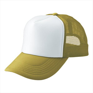 ACgX AITOZ AJbVLbviMC30^3100j66313 102.x[W×zCg ƕ ƒ jtH[