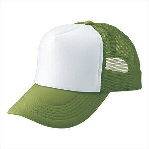 ACgX AITOZ AJbVLbviMC30^3100j66313 130.I[u×zCg ƕ ƒ jtH[