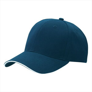 ACgX AITOZ cCLbvi6500j66327 008.lCr[ ƕ ƒ jtH[