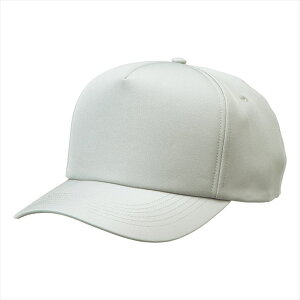 ACgX AITOZ [eBeBLbvi35000j66333 003.Vo[O[ ƕ ƒ jtH[