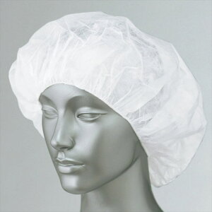 ACgX AITOZ N[Lbv HH4334 001.001zCg ƕ ƒ jtH[