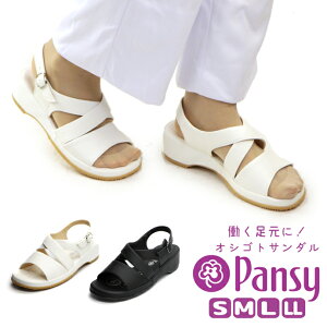 T_ pW[ pansy fB[X HN5302 i[XT_ NXfUC 2203 i[XV[Y ItBXT_ zCg  ubN  ɂ a@ { d