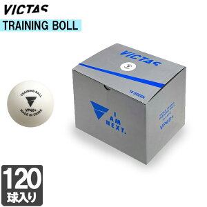 K BN^X VICTAS 015600 VP40+ g[jO{[ 10_[X 2207 싅 120 Zbg s| {[ d싅 vX`bN
