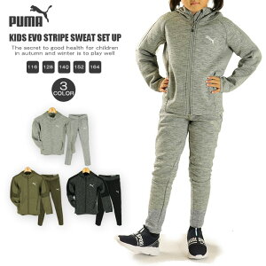 XEFbg v[} PUMA WjA LbY 585922 585924 GH XgCv ㉺Zbg 2209 ㉺ tWbv t[fB W[W XGbg XDFbg ZbgAbv