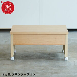 yP5{z Y v^[S i 52cm VR؃[vC Rf ICdグ ot LX^[t v^[ v^[[ v^[bN ؐ H ؂