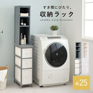 [bN `FXg 25cm o3i ː ˍ Ԏ[ I[vbN h[bN h[`FXg X^Cv ʏ[ h[[ @ u[ O[ A