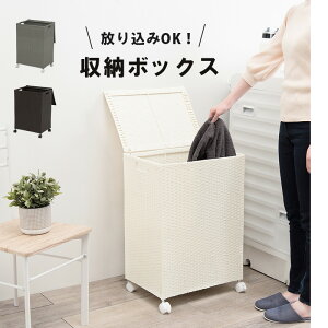 h[{bNX 50cm [{bNX LX^[t h[oXPbg X`[t[ Ԏ[ ʏ[ h[[ @ hf _[NuE O[ zC