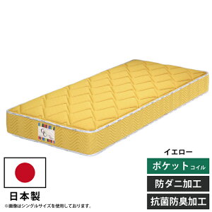 |PbgRC}bgX { 2 NC[TCY 25cm jbgn NC[}bgX sN ~gO[ x_[ ^[RCYu[ lCr[ IW uE }X