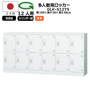 y@lzlpbJ[ 12lpbJ[ ړIpbJ[ { 62i 12lp^Cv Lrlbg V_[ t X߃bJ[  ItBXƋ bJ[ ItBXƋ GL