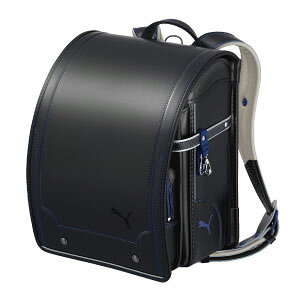 yP5{zySꗥ zZCo hZ v[} v~AGfBV 2026Nx ŐVf 2026N 4 w 6Nԕۏؕt Vĝ͂ j̎q { qpJo X^fBo