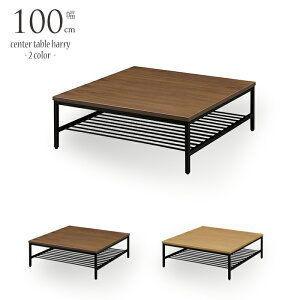 Z^[e[u ` [e[u ؐ 100cm [e[u ؐ  Vv _ i`eCXg VRؓ˔ Ƒ  EH[ibg I[N c[g