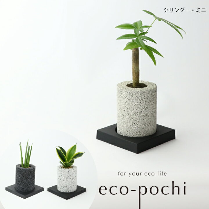 楽天市場 Eco Pochi With Green シリンダー ミニ 観葉植物 インテリアグリーン 消臭 空気浄化 エコ製品 ハンドメイド 国産 自然素材 竹炭 シラス ニオイ対策 クリーン サンスベリア バキュラリス サンスベリア ミカド サンスベリア ハニー ペペロミア アングラー